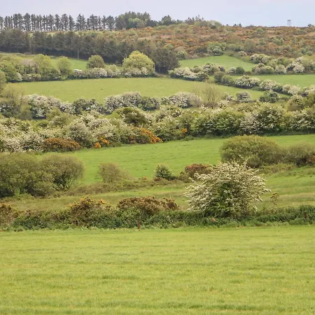 Feriehus Fern Youghal